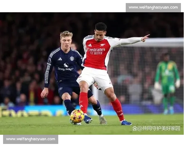 世预赛关键破门!廷贝尔收获荷兰国家队首球