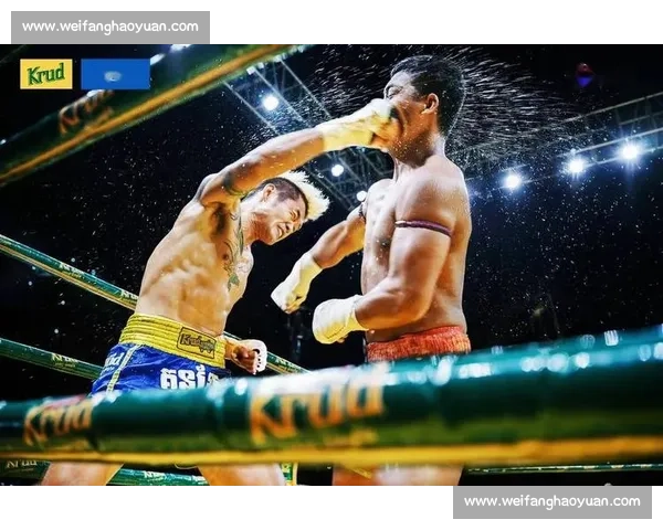 缅甸拳对决泰拳传统格斗技艺力量与规则的终极碰撞历史文化差异