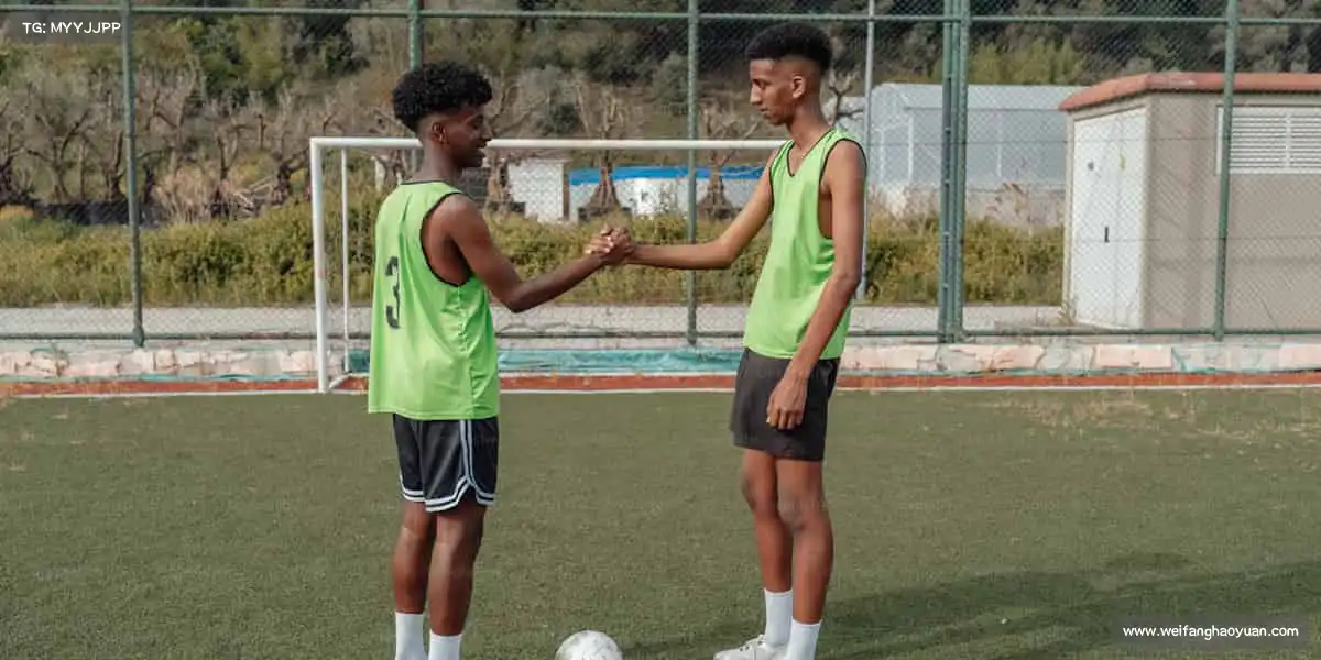 行业领先的理由